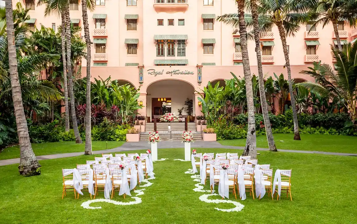 画像:ココナッツグローブ