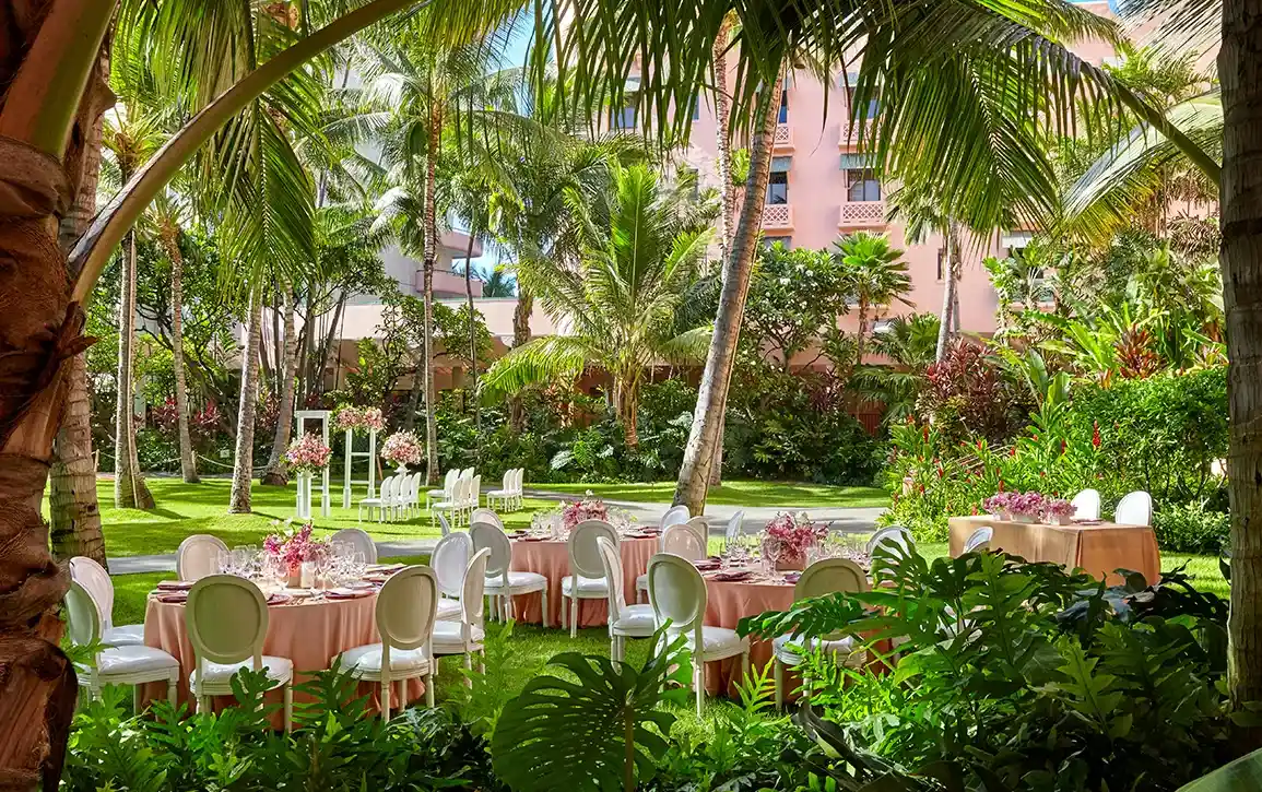 画像:ココナッツグローブ